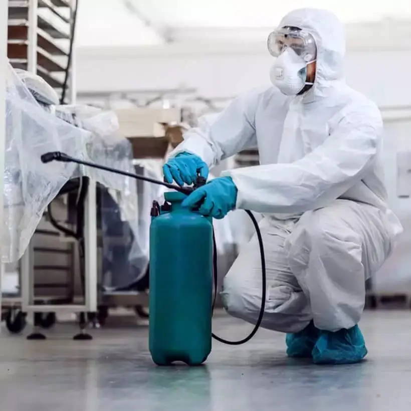 traitement insecticide